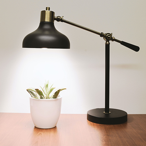 Plants Come to Light in Student’s Winning Pitch Idea