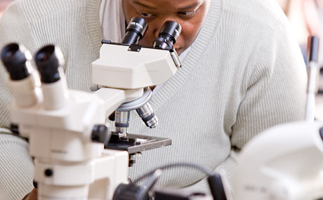 A student peers through a microscope at Baldwin Wallace University