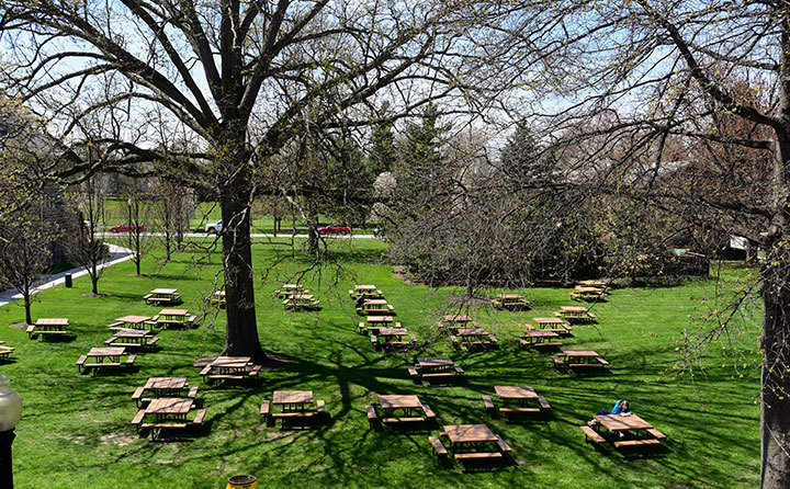 Tall trees tower over picnic tables on the west lawn of Baldwin Wallace University's Strosacker Hall union