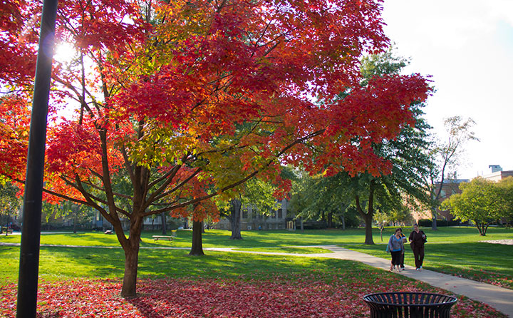A splash of autumn color on BW's north quad