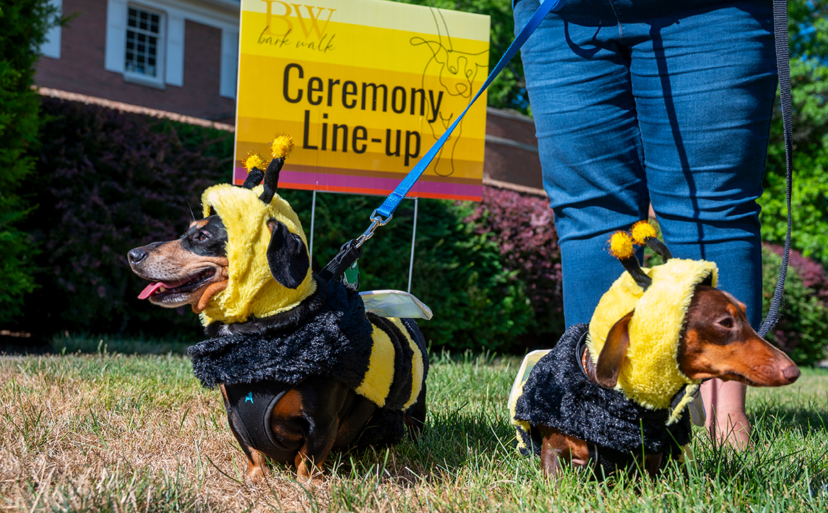BW Bark Walk 2025