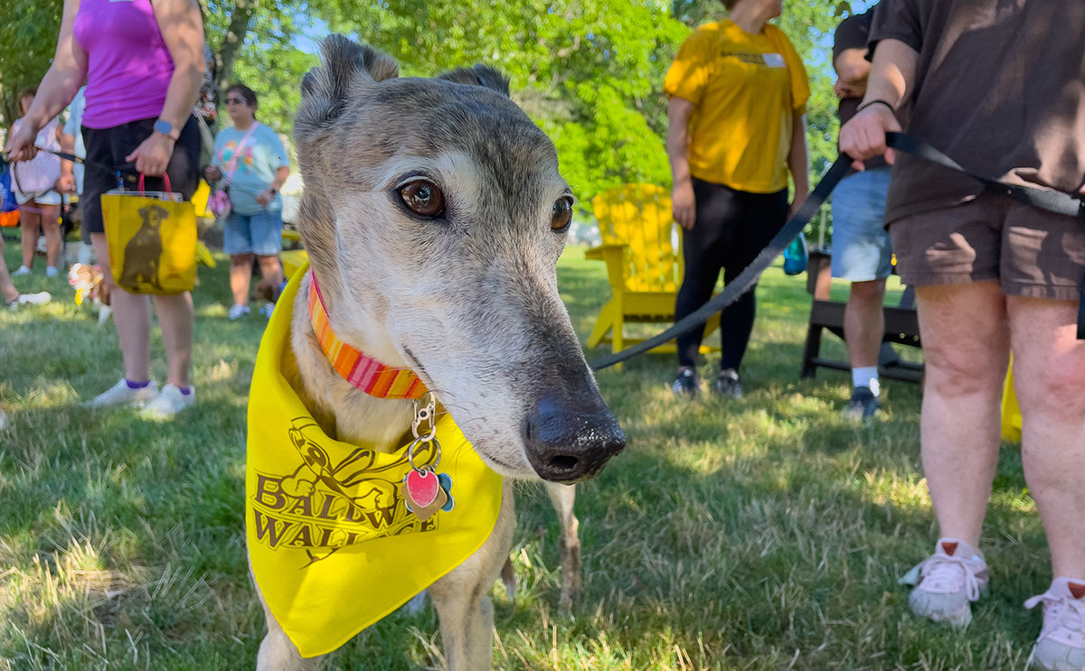 BW Bark Walk 2025