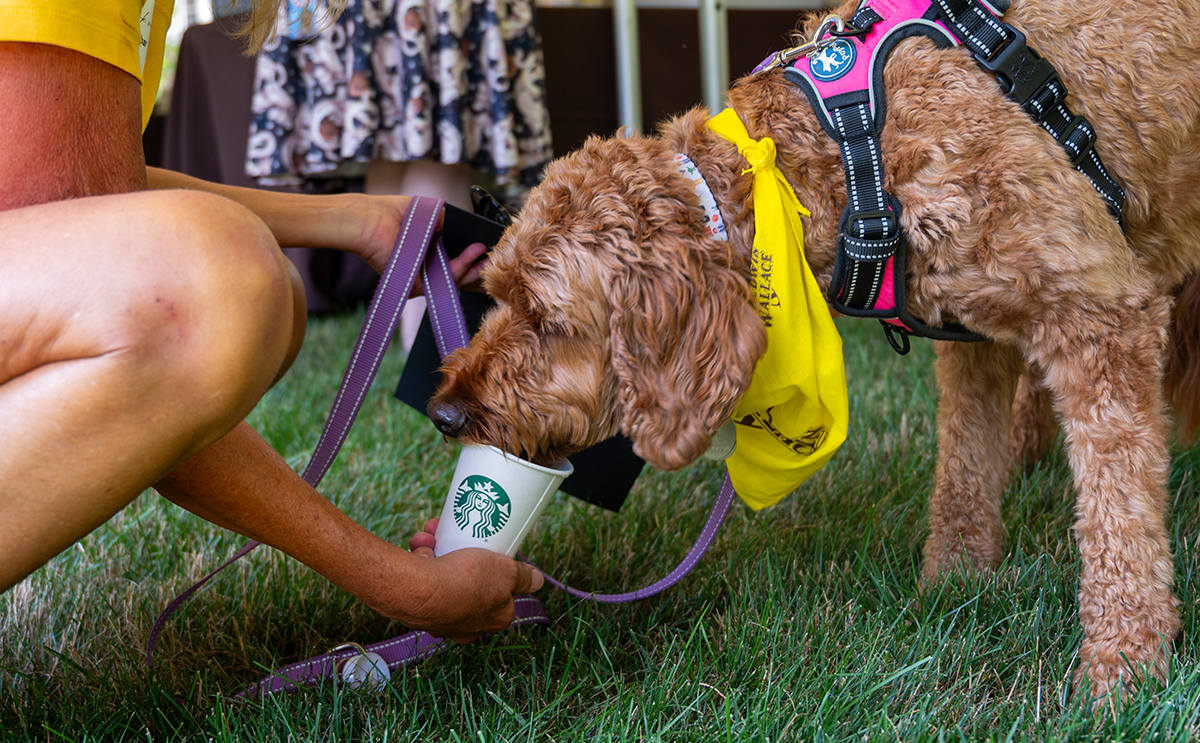 BW Bark Walk 2025