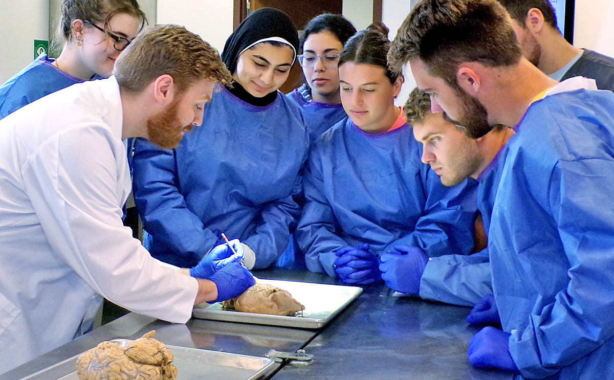 Dr. Reed Davis with students in the cadaver lab