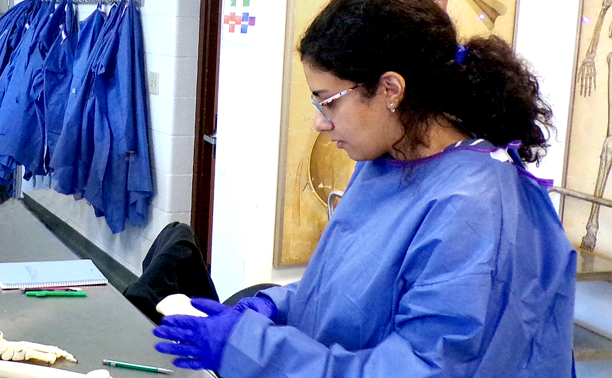 Michelle Khoury in lab