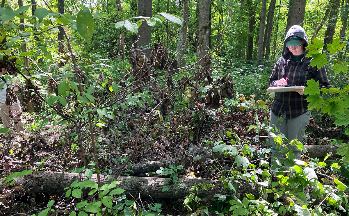 Skyanne Melton collecting data in the Cleveland Metroparks