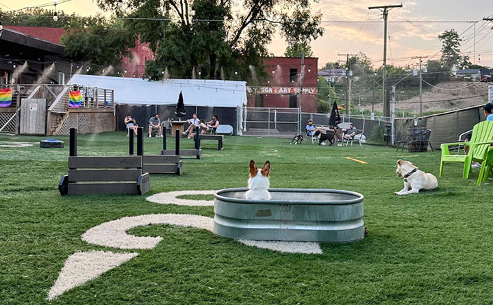 Taps & Tails outdoor play area