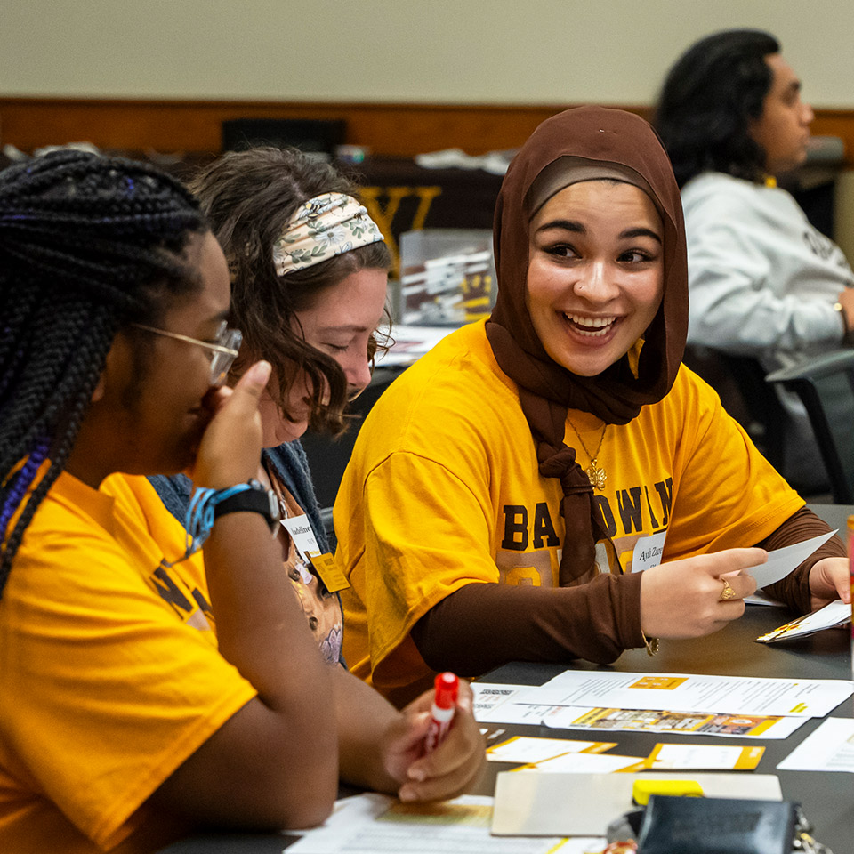 Student peer mentors
