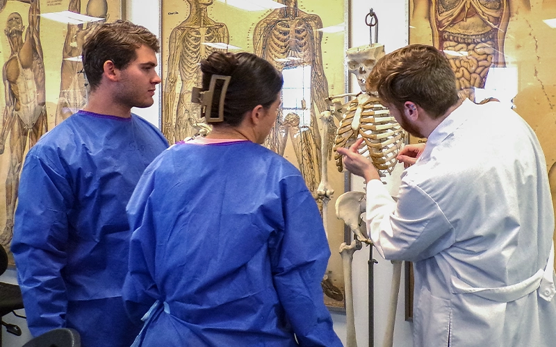 BW pre-med students working the lab with an anatomical model.