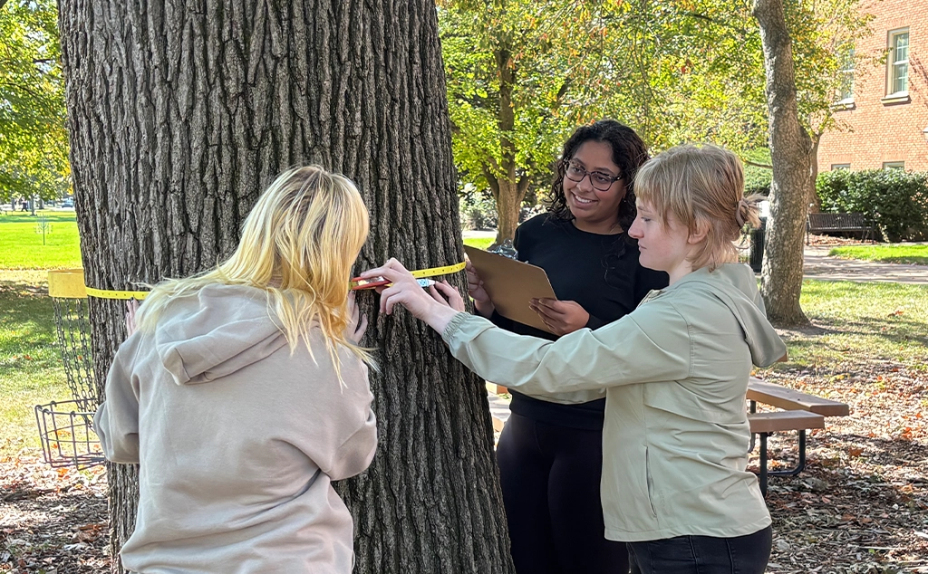 Three Baldwin Wallace botany students measure the circumference of a tree as part of an arboretum inventory and research project.