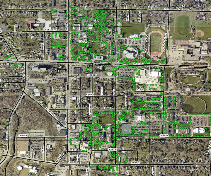 Baldwin Wallace University Campus Tree Map