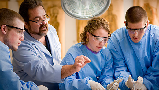 Students and an instructor in the Anatomy Lab