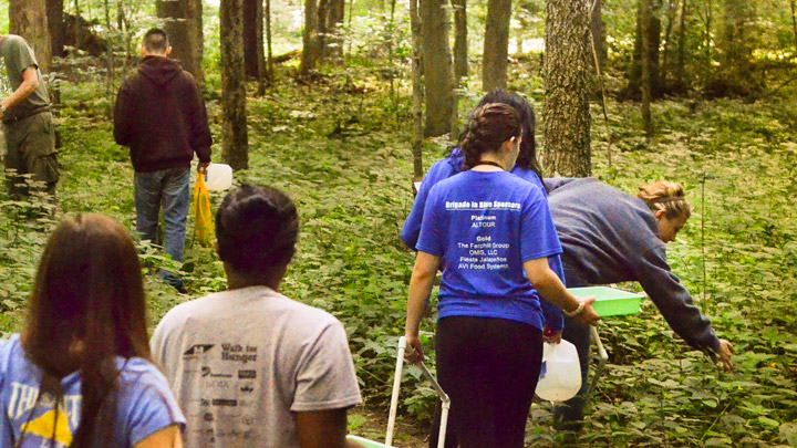 Biology Fieldwork in Forest