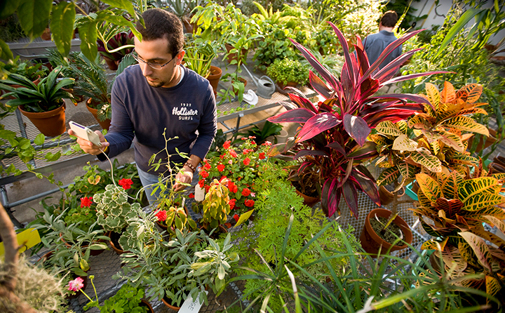 BW's modern biology laboratories include an outdoor native plant and rain gardens, greenhouse, plant growth chambers, insect room and zebrafish aquaria.