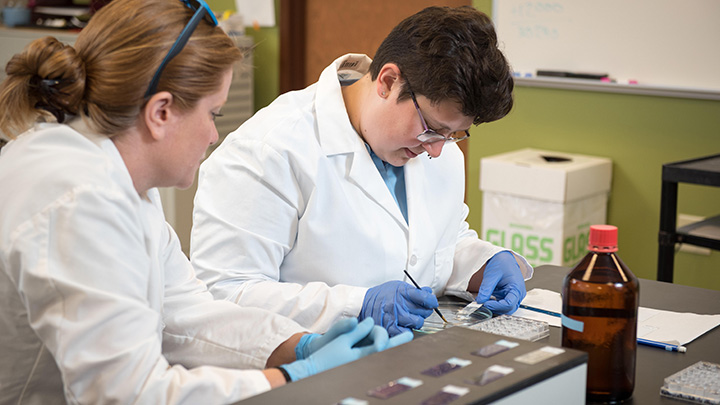 Photo of professor mentoring student in neuroscience lab.