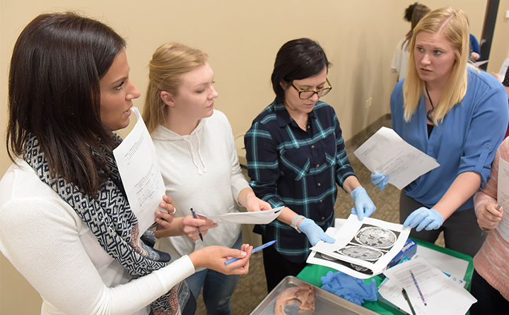 Students looking over a specimen 