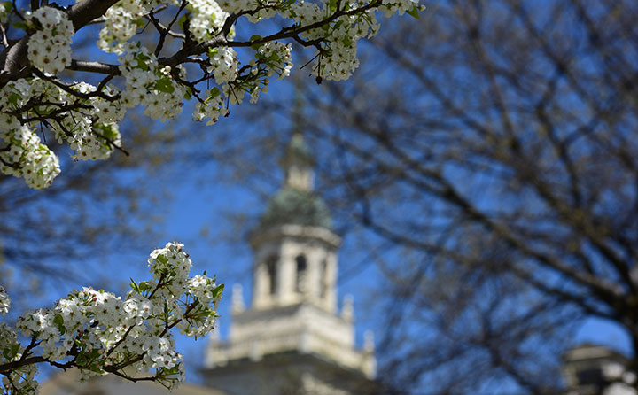 Baldwin Wallace University's Marting Tower peaks through flowering spring trees