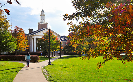 Photo of a campus fall setting