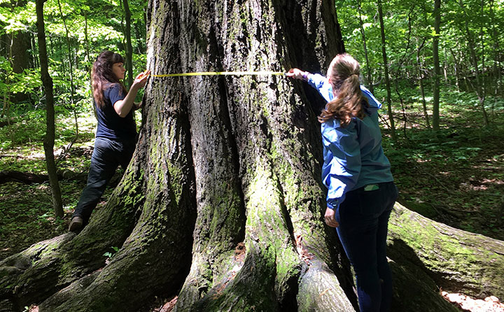 Photo of Chloe Dickinson and Elisha Bly conduct research in the North Chagrin Reservation.