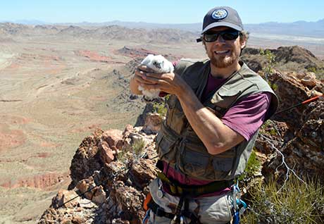 Photo of Joe Barnes with Peregrine Falcon