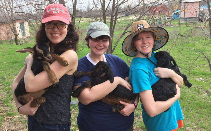 2018 BW Alternative Spring Break volunteers work on a Waco, Texas farm with World Hunger Relief, Inc., learning about sustainable agriculture, food systems and community development.