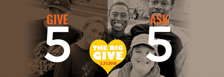 Graphic for The Big Give