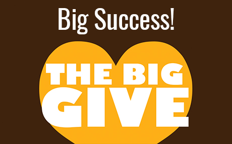 Graphic of Big Give 