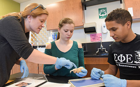 Neuroscience faculty and students at Baldwin Wallace University