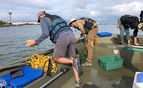 Mark Warman (center) searching for invasive plant species on Lake Erie, near Burke Lakefront Airport.