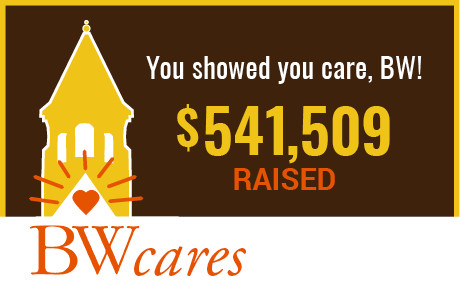 BWcares results graphic