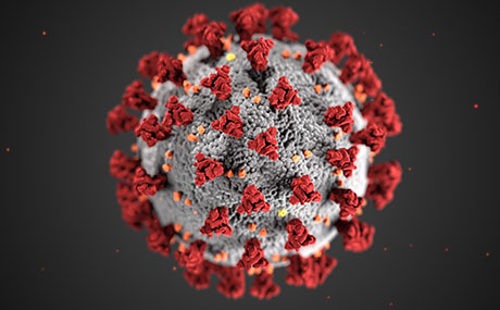 coronavirus image