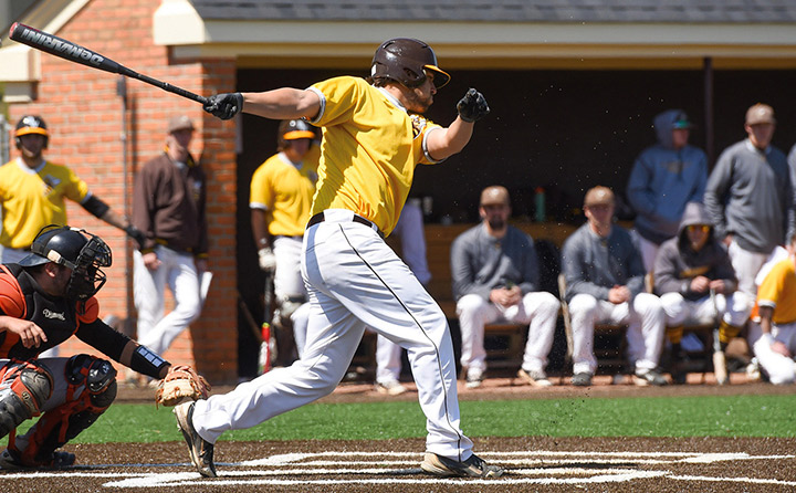 Image of Baseball Player