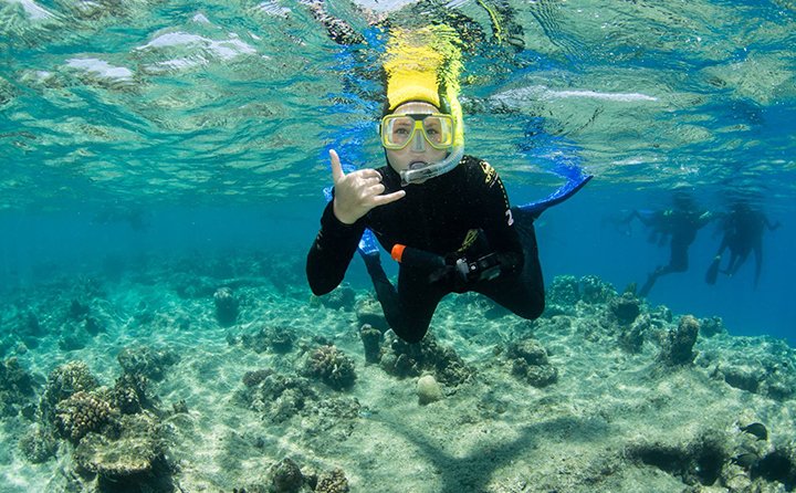 Criminal justice and political science major Amy Gersten snorkeling at the Great Barrier Reef in Australia.