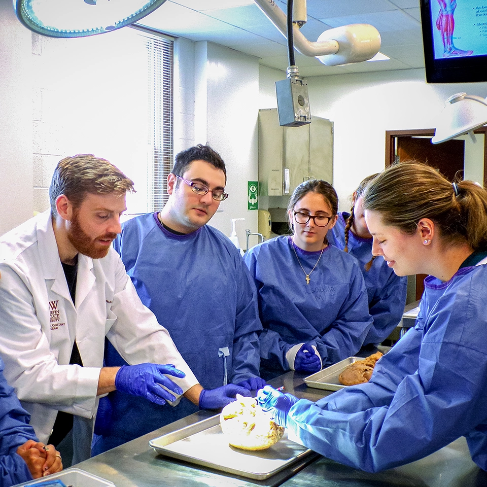 BW biology and pre-med students gain hand-on experience in the cadaver lab.