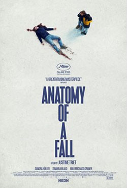 Anatomy of a Fall movie poster