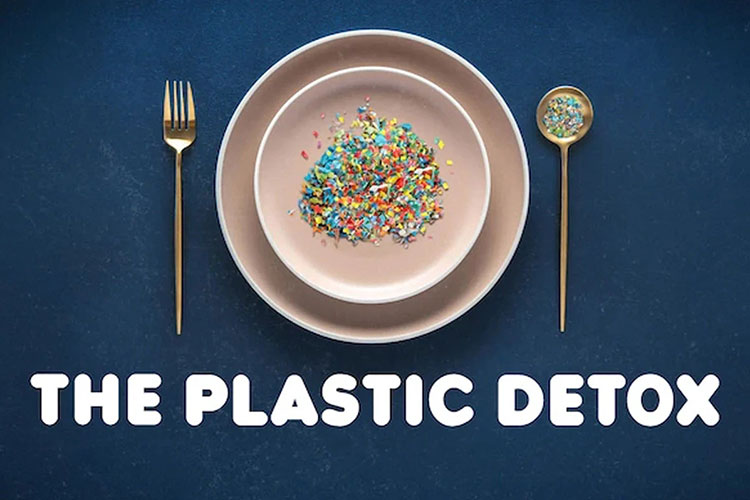 The Plastic Detox logo