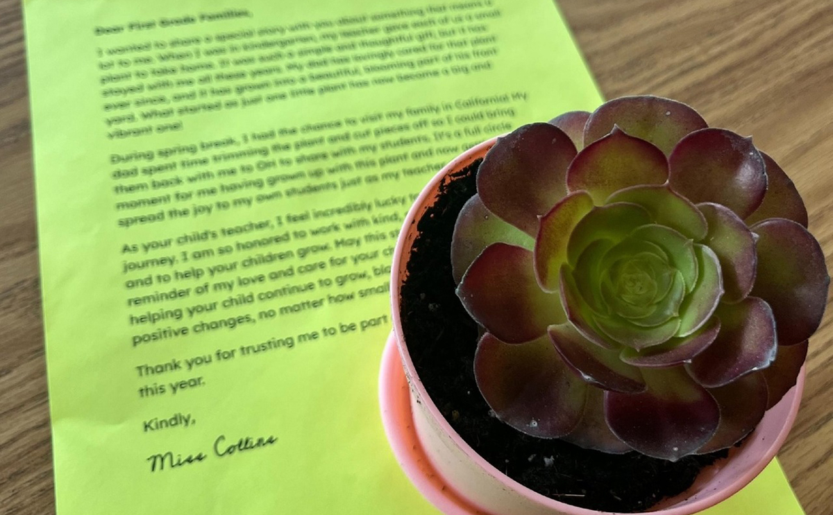 One of the succulents and a message from the teacher. 