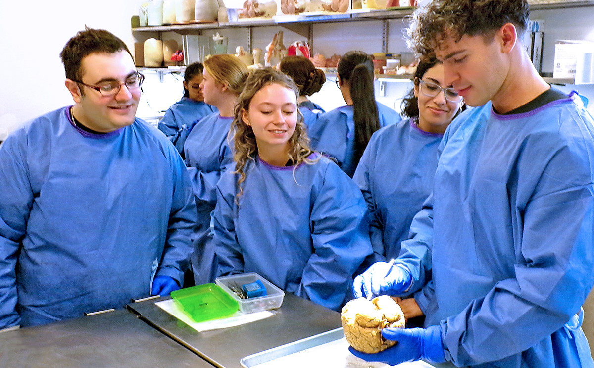 Gross anatomy-Cadaver lab