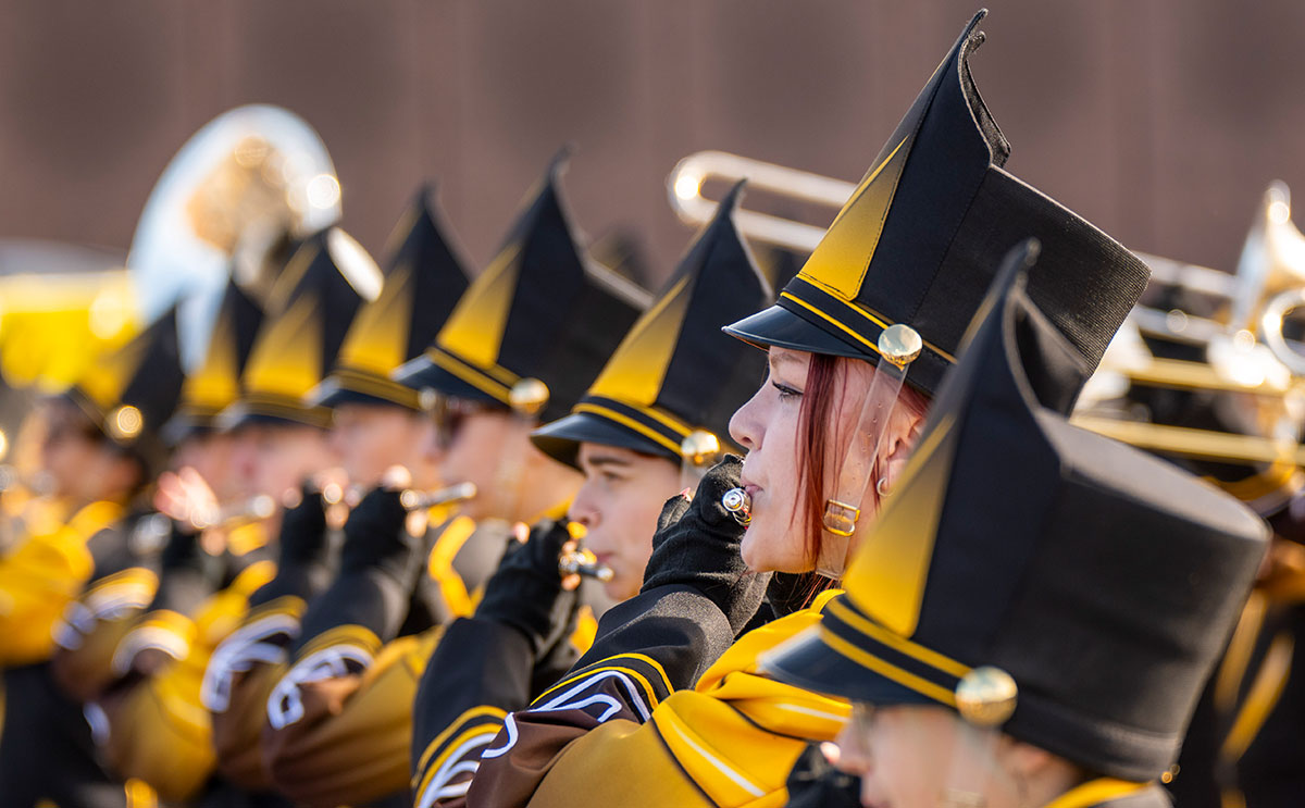 Bold and Gold Festival