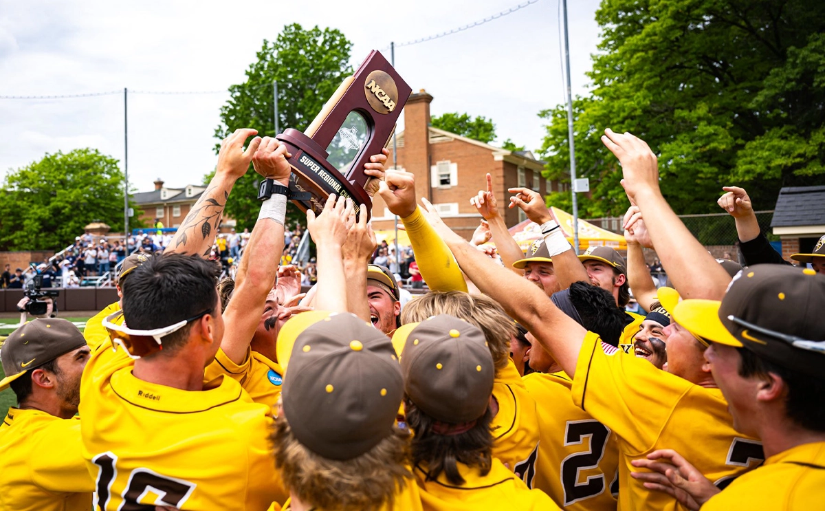 BW Yellow Jackets baseball