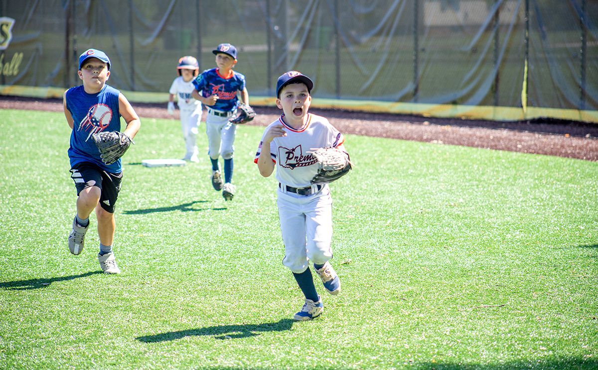 Youth Baseball Camp