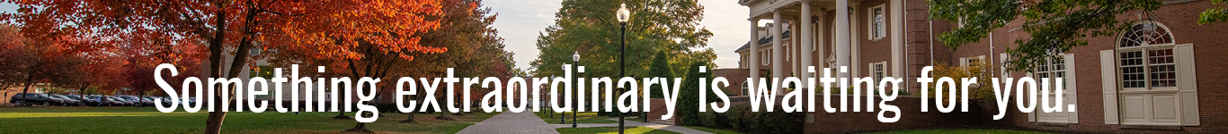 Something Extraordinary is Waiting for You