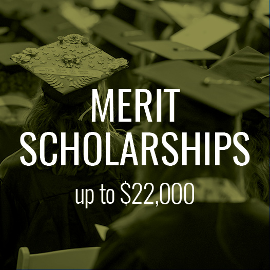 Students can receive up to $22,000 per year in academic merit scholarships from Baldwin Wallace.